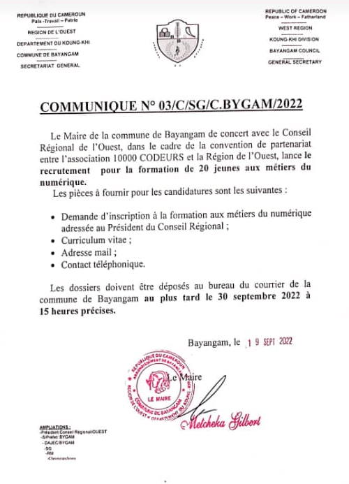 Cameroun : impact de 10000 Codeurs à Bayangam