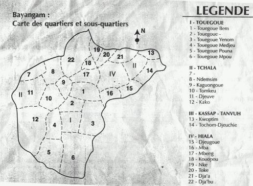 Cameroun : impact de 10000 Codeurs à Bayangam
