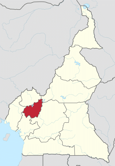 Détail de l’impact de 10.000 Codeurs dans la région Ouest Cameroun