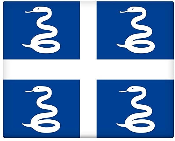 Numérique : parole à la Jeunesse Martiniquaise