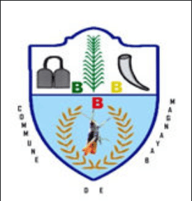 Cameroun : impact de 10000 Codeurs à Bayangam