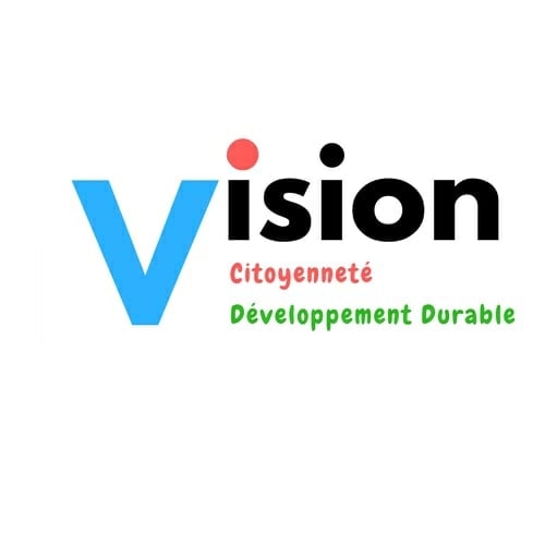 Partenariat avec l’association Vision dans le cadre du projet « Digital Skills Women Hub »