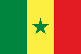 Sénégal : Interview de Douglas MBIANDOU, président 10.000 Codeurs à Radio China International
